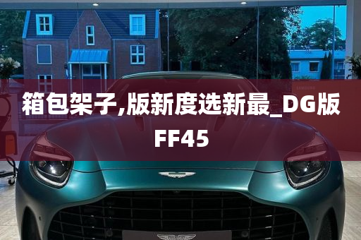 箱包架子,版新度选新最_DG版FF45