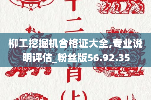 柳工挖掘机合格证大全,专业说明评估_粉丝版56.92.35