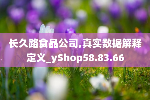 长久路食品公司,真实数据解释定义_yShop58.83.66