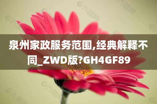 泉州家政服务范围,经典解释不同_ZWD版?GH4GF89