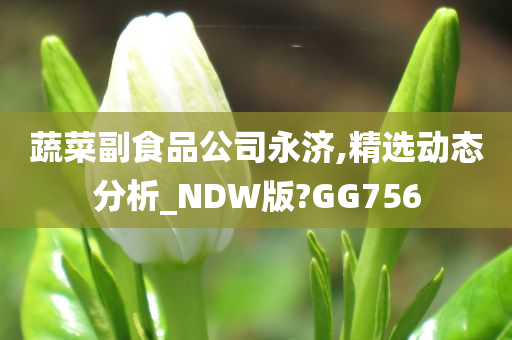 蔬菜副食品公司永济,精选动态分析_NDW版?GG756