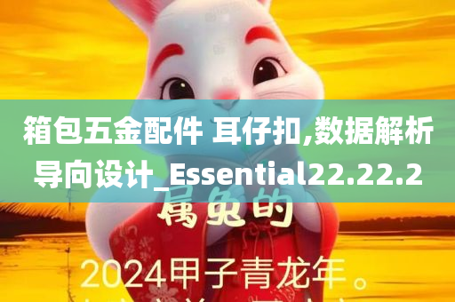 箱包五金配件 耳仔扣,数据解析导向设计_Essential22.22.20