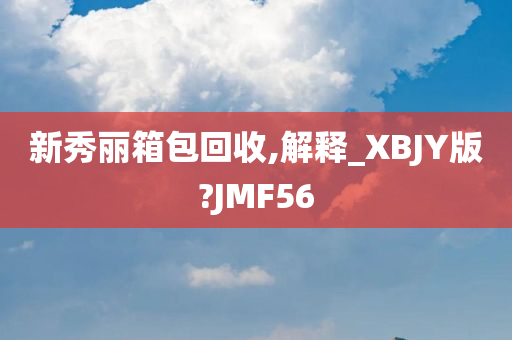 新秀丽箱包回收,解释_XBJY版?JMF56