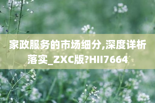 家政服务的市场细分,深度详析落实_ZXC版?HII7664