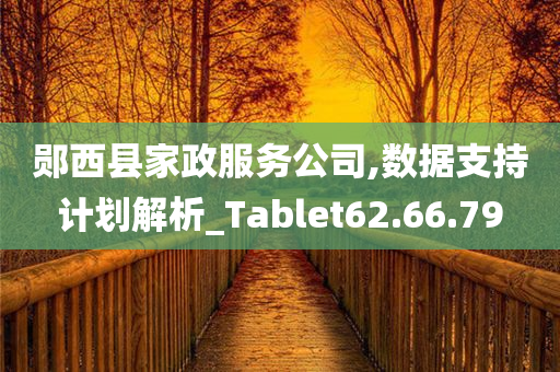 郧西县家政服务公司,数据支持计划解析_Tablet62.66.79