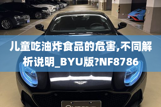 儿童吃油炸食品的危害,不同解析说明_BYU版?NF8786