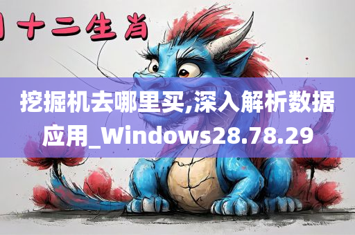 挖掘机去哪里买,深入解析数据应用_Windows28.78.29