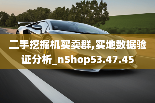 二手挖掘机买卖群,实地数据验证分析_nShop53.47.45