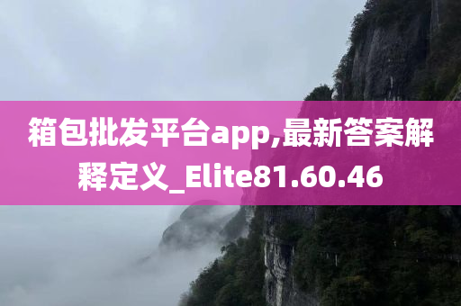 箱包批发平台app,最新答案解释定义_Elite81.60.46