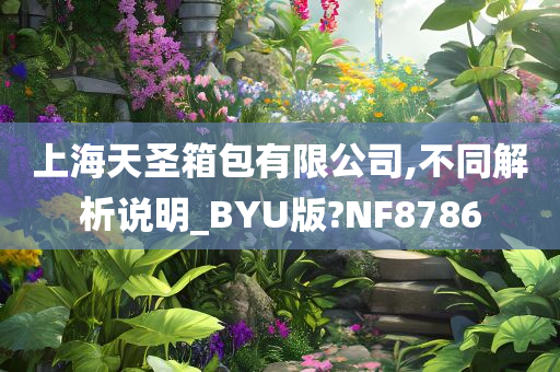 上海天圣箱包有限公司,不同解析说明_BYU版?NF8786