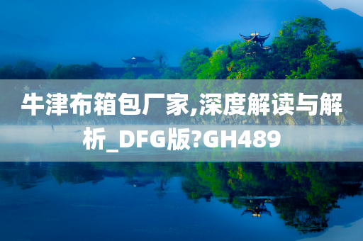 牛津布箱包厂家,深度解读与解析_DFG版?GH489