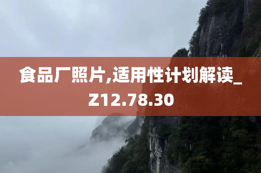 食品厂照片,适用性计划解读_Z12.78.30