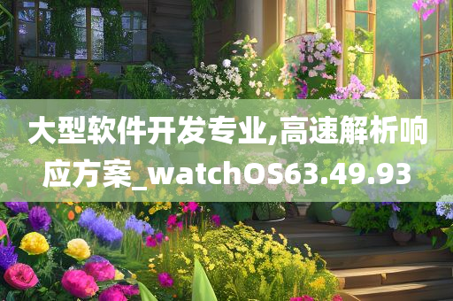 大型软件开发专业,高速解析响应方案_watchOS63.49.93