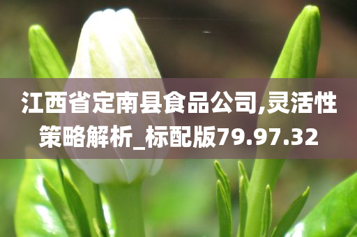 江西省定南县食品公司,灵活性策略解析_标配版79.97.32