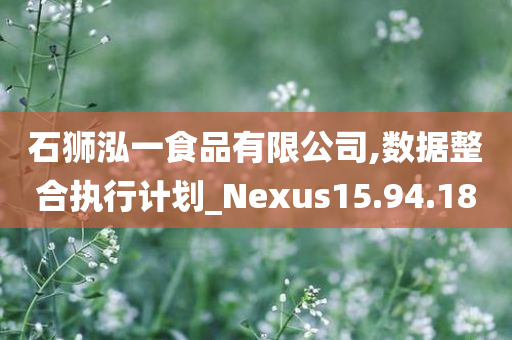 石狮泓一食品有限公司,数据整合执行计划_Nexus15.94.18