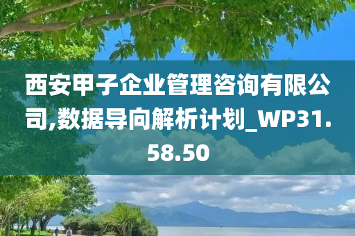 西安甲子企业管理咨询有限公司,数据导向解析计划_WP31.58.50