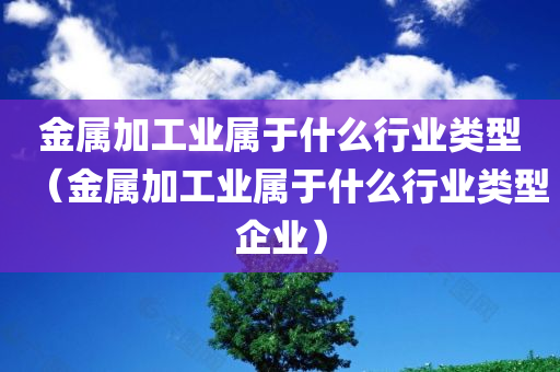 金属加工业属于什么行业类型（金属加工业属于什么行业类型企业）