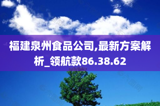 福建泉州食品公司,最新方案解析_领航款86.38.62