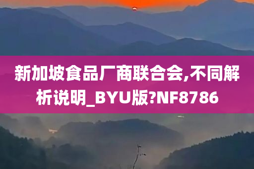 新加坡食品厂商联合会,不同解析说明_BYU版?NF8786