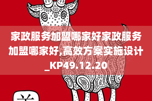 家政服务加盟哪家好家政服务加盟哪家好,高效方案实施设计_KP49.12.20