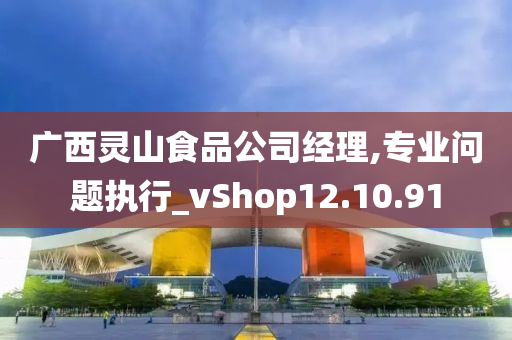 广西灵山食品公司经理,专业问题执行_vShop12.10.91