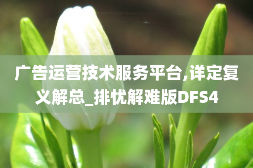 广告运营技术服务平台,详定复义解总_排忧解难版DFS4