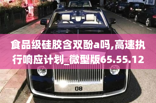 食品级硅胶含双酚a吗,高速执行响应计划_微型版65.55.12