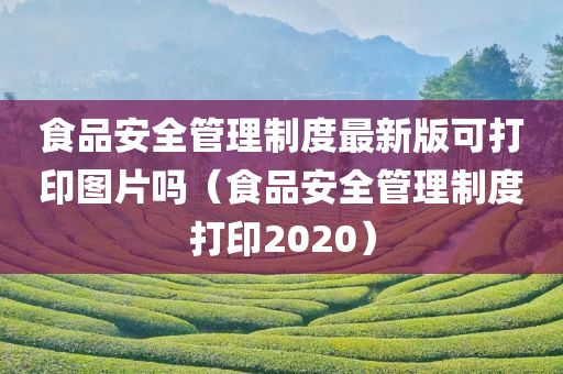 食品安全管理制度最新版可打印图片吗（食品安全管理制度打印2020）