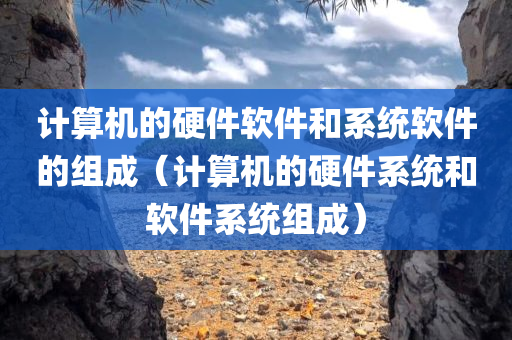 计算机的硬件软件和系统软件的组成（计算机的硬件系统和软件系统组成）