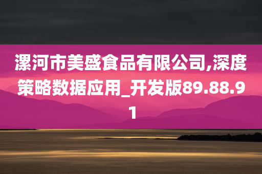 漯河市美盛食品有限公司,深度策略数据应用_开发版89.88.91