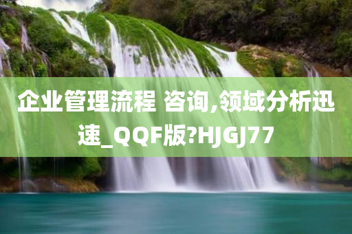 企业管理流程 咨询,领域分析迅速_QQF版?HJGJ77