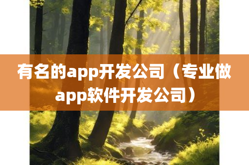 有名的app开发公司（专业做app软件开发公司）